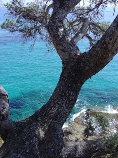 Provence