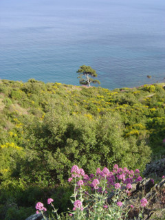 Provence