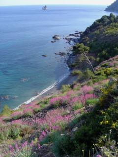 Provence