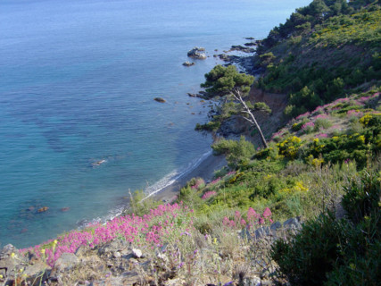 Provence