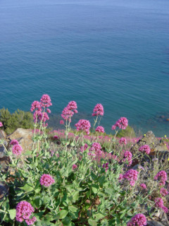 Provence