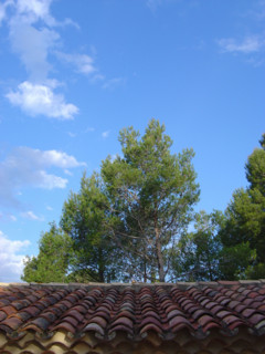 Provence