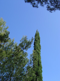 Provence