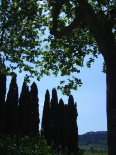 Provence