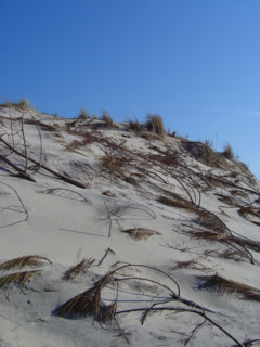 Côte Atlantique