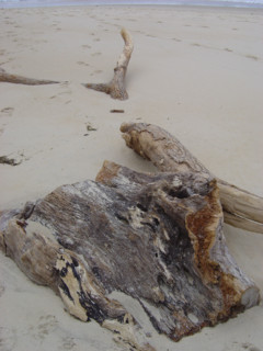 Côte Atlantique