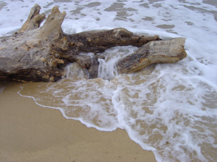 Côte Atlantique