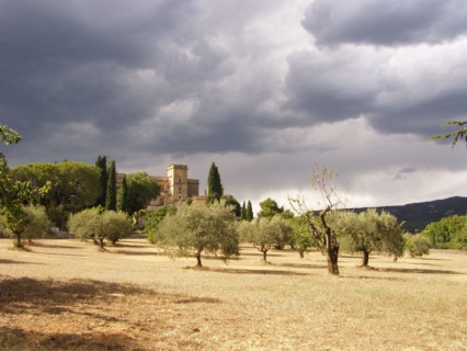 Provence287 Village de Lourmarin, l'été, Luberon, ciel d'orage en provence, oliviers