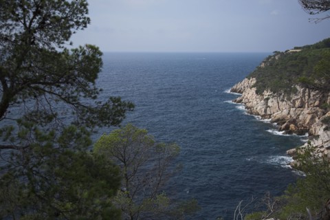 Provence322 Côte varoise, Méditerranée, pins maritimes, calanques, printemps
