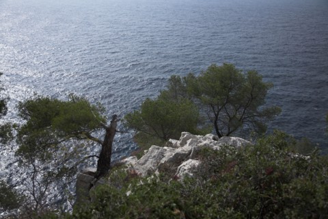 Provence323 Côte varoise, Méditerranée, pins maritimes, calanques, printemps