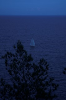 Provence326 Voilier en Méditerranée, pins maritimes, "nuit américaine"