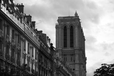 Paris 101 Cathédrale Notre Dame de Paris le soir, vue latérale