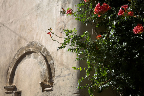 Provence387 Provence, Luberon, Lourmarin, village, anciens murs, fleurs d'été
