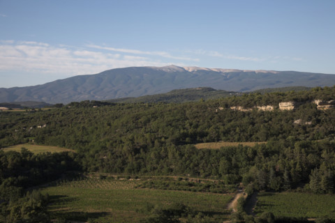 Provence454 Provence, collines provencales, Mont Ventoux, face sud, été