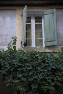 Provence544 Provence, Luberon, village, mur, fenêtre, volets verts, vigne vierge, été