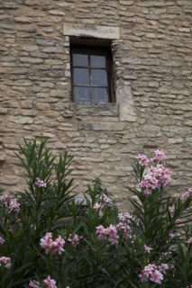 Provence567 Provence, Luberon, village, mur, fenêtre, lauriers roses, été