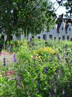 Bruges. Jardin fleuri au Printemps, ruelles de la ville médiévale
