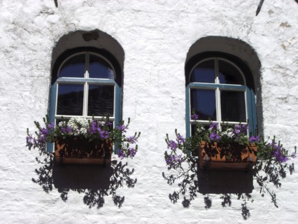 Bruges. Façade fleurie au Printemps, fenêtres, ruelles de la ville médiévale