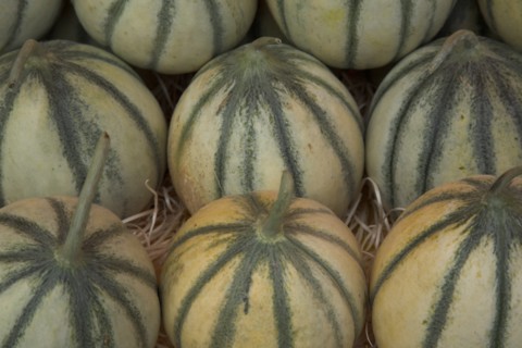 Provence742 Marché de Provence, melons