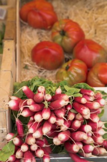 Provence745 Marché de Provence, radis, tomates