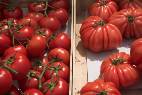 Provence747 Marché de Provence, tomates rondes, tomates cœur de bœuf