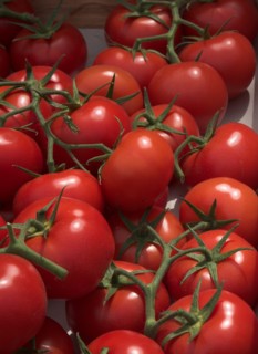 Provence748 Marché de Provence, tomates rondes