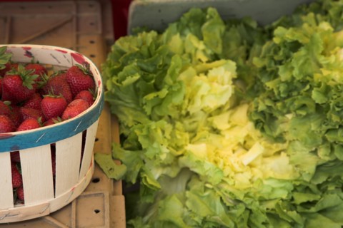 Provence753 Marché de Provence, salade verte frisée, fraises