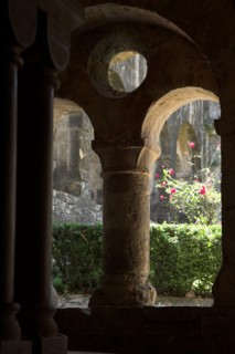 Provence804 Abbaye du Thoronet, le cloître : arcades géminées, oculus et chapiteau, jardin