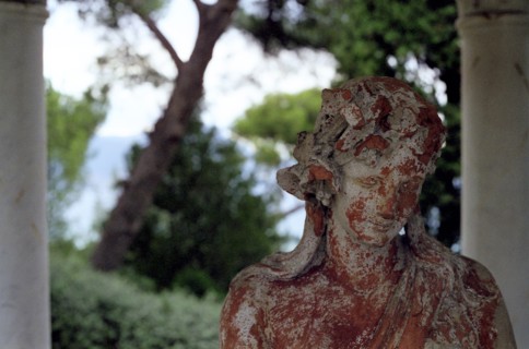 Villa Ephrussi de Rothschild jardins, la roseraie