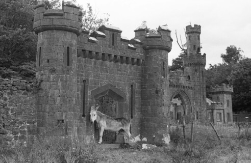 Ruines du Markree Castle, Irlande