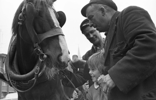 Vie quotidienne à Dublin en 1972