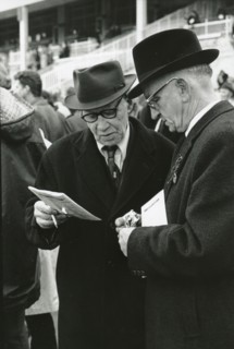 Studying form at Leopardstown races