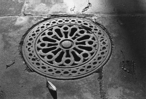 Cellar cover, Dublin