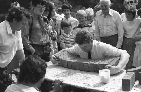 Strawberry Fair à Dublin, 1986