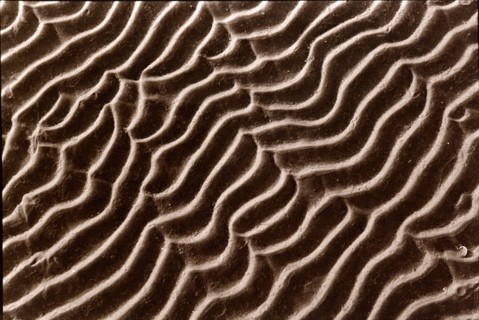 Ripples in sand, Sandymount, Dublin