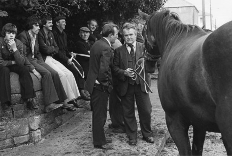 Foire aux chevaux, 1980