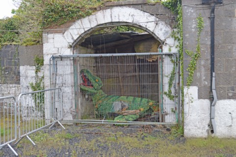 Peluche abandonnée