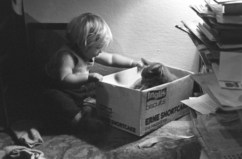 Vie quotidienne en 1980