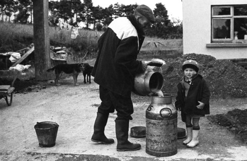 Collecte de lait, Irlande