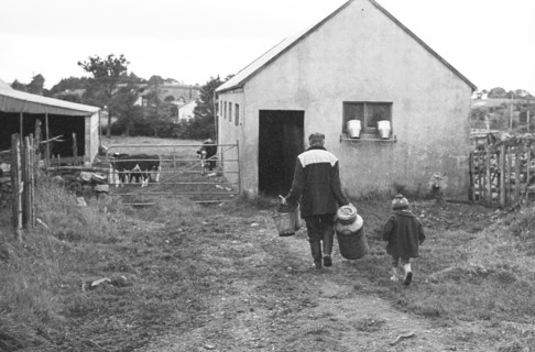 Collecte de lait, Irlande