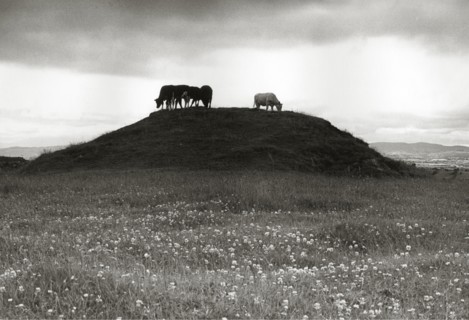 Tumulus, Cloonlara, Irlande