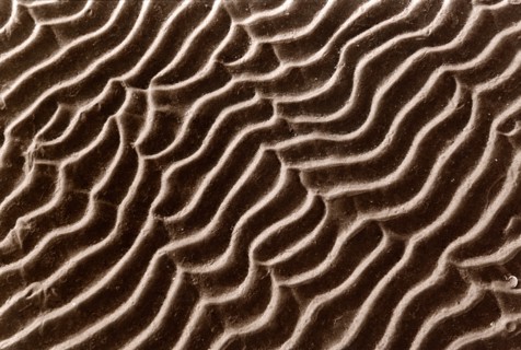 Rides dans le sable