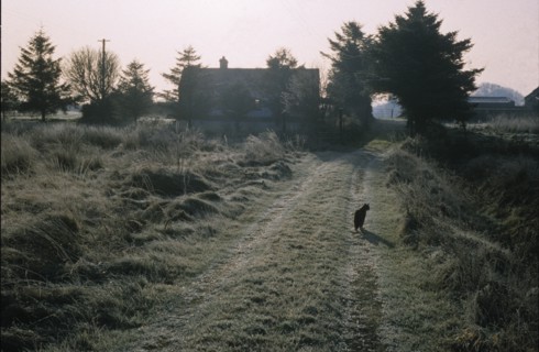 Matin d'hiver en Irlande