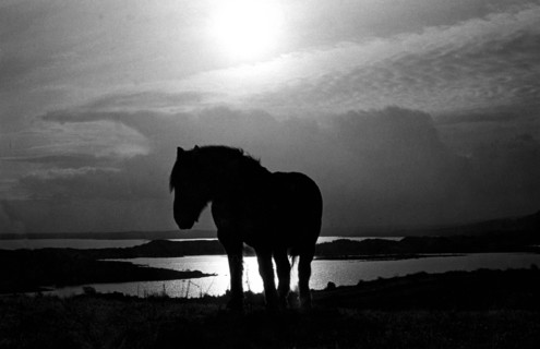 Lac Lough Conn, en Irlande