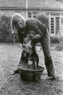 Bain canin