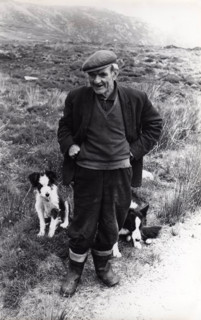 Fermier irlandais, 1972
