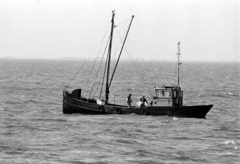 Bateau de pêche naviguant sur l'IJsselmeer, par temps de vent. Pays-Bas.
1999