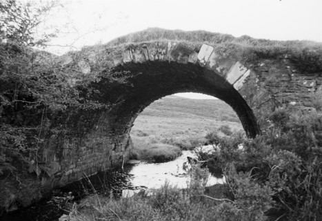 Old stone arch bridge covered with vegetation, above a wetland. Ireland.
2000
