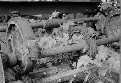Discarded rusty machinery overgrown with vegetation. Foxford Woollen Mills, Foxford, County Mayo,