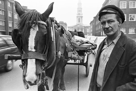Coal delivery, Hardwicke Street. Dublin